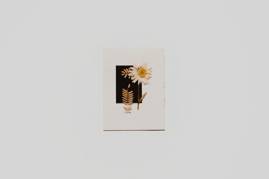 Handmade Cotton Deckle Edge Paper Sheets